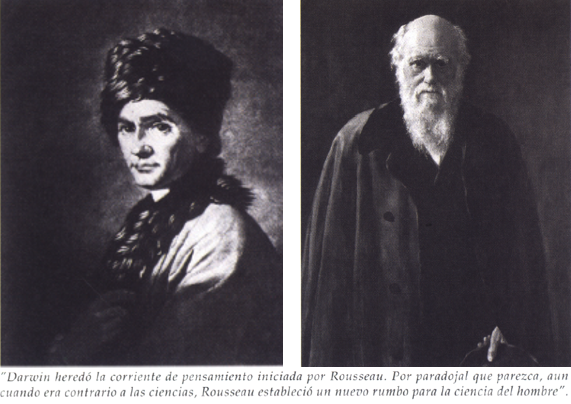 rousseau darwin