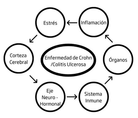 enfermedad 04