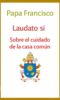 LAUDATO SI 330 2